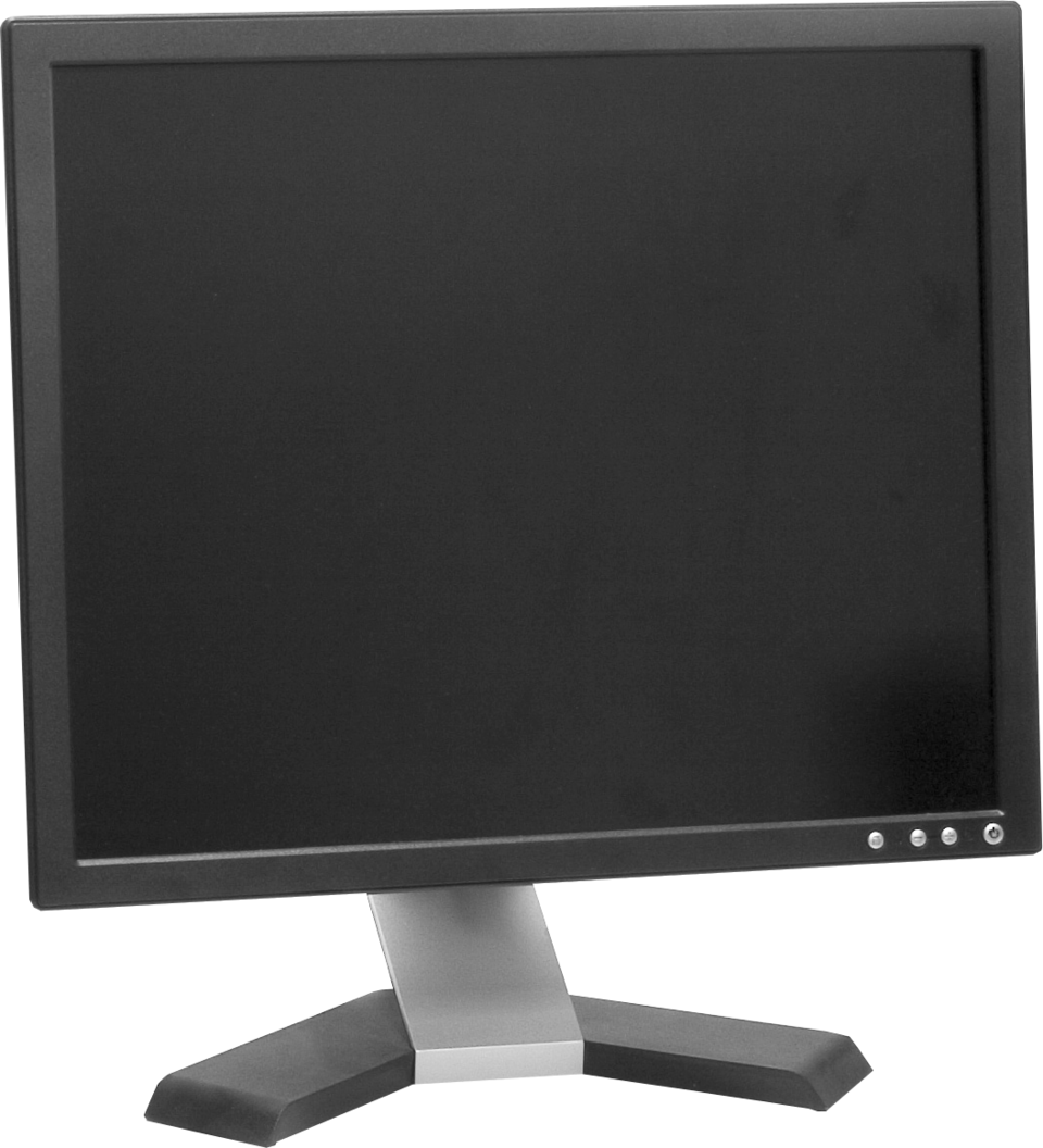 Dell 19" Office Monitor
